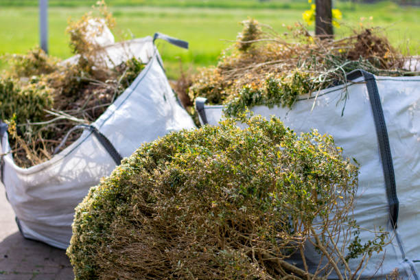 Commercial Cleanout Services in Shannon, MS